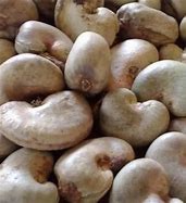Premium Cashew Nuts